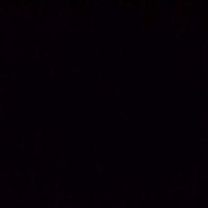 Meet your Posher, Jayden